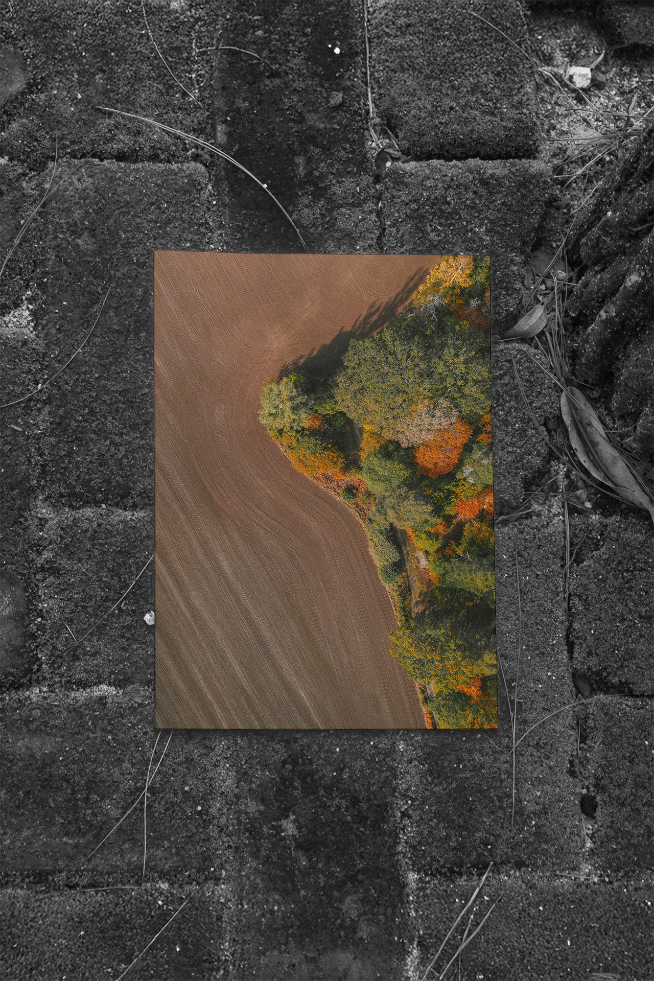 Det Grafiska Gränslandet