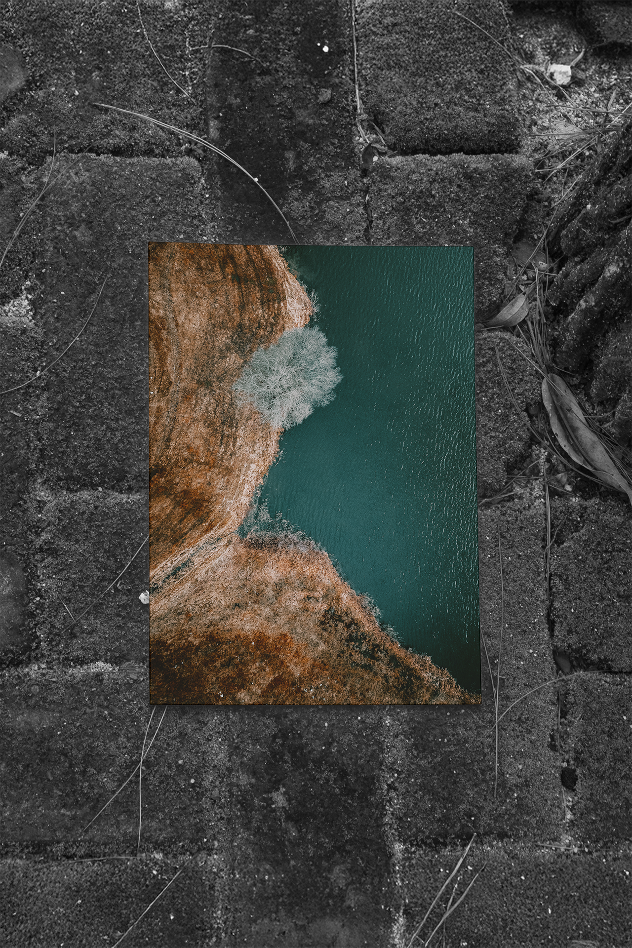 Naturens Gränssnitt