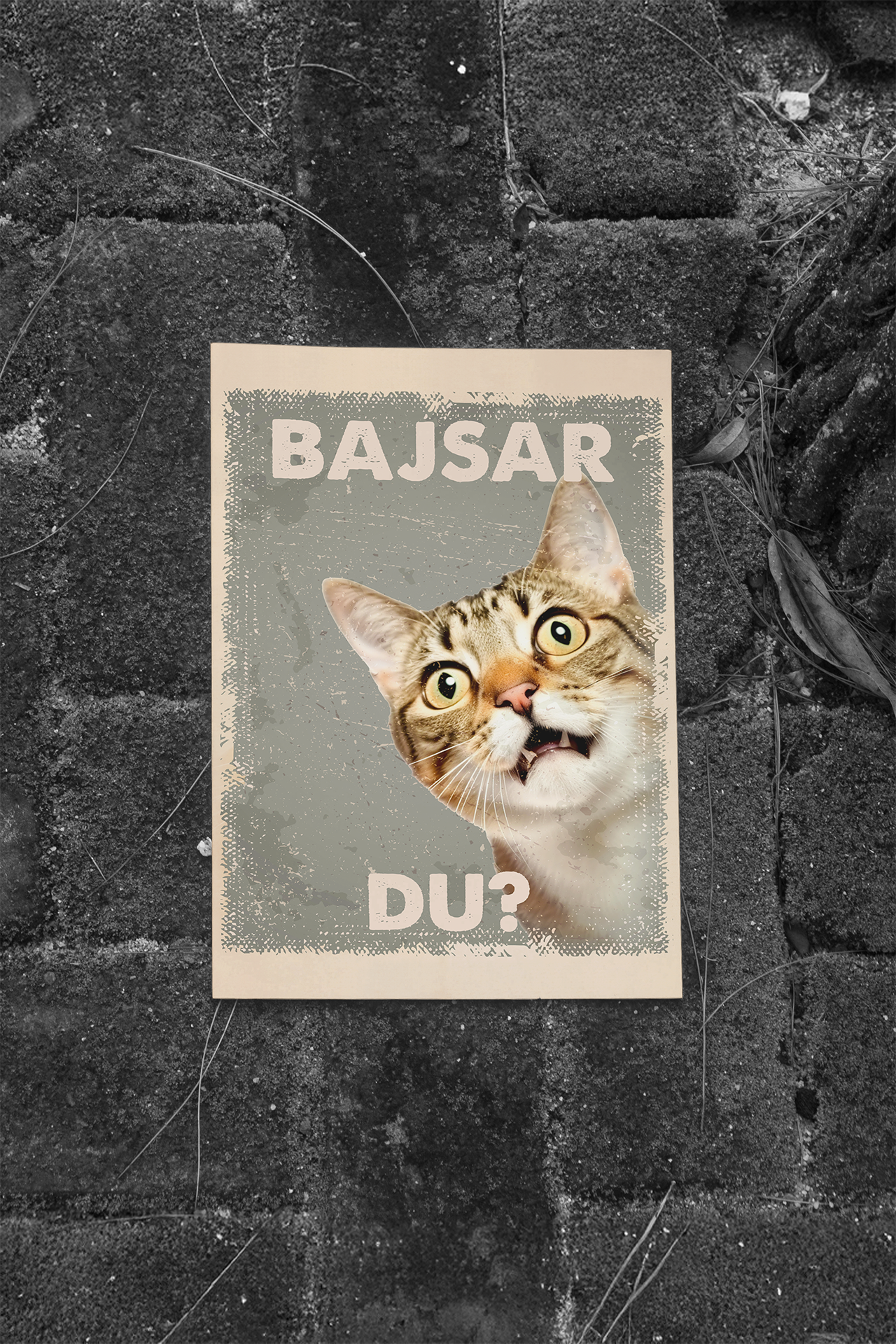 Bajsar Du?