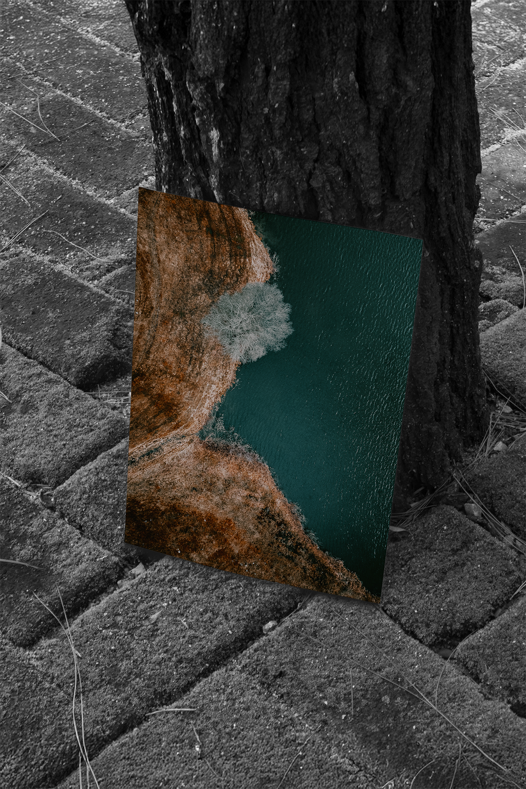 Naturens Gränssnitt