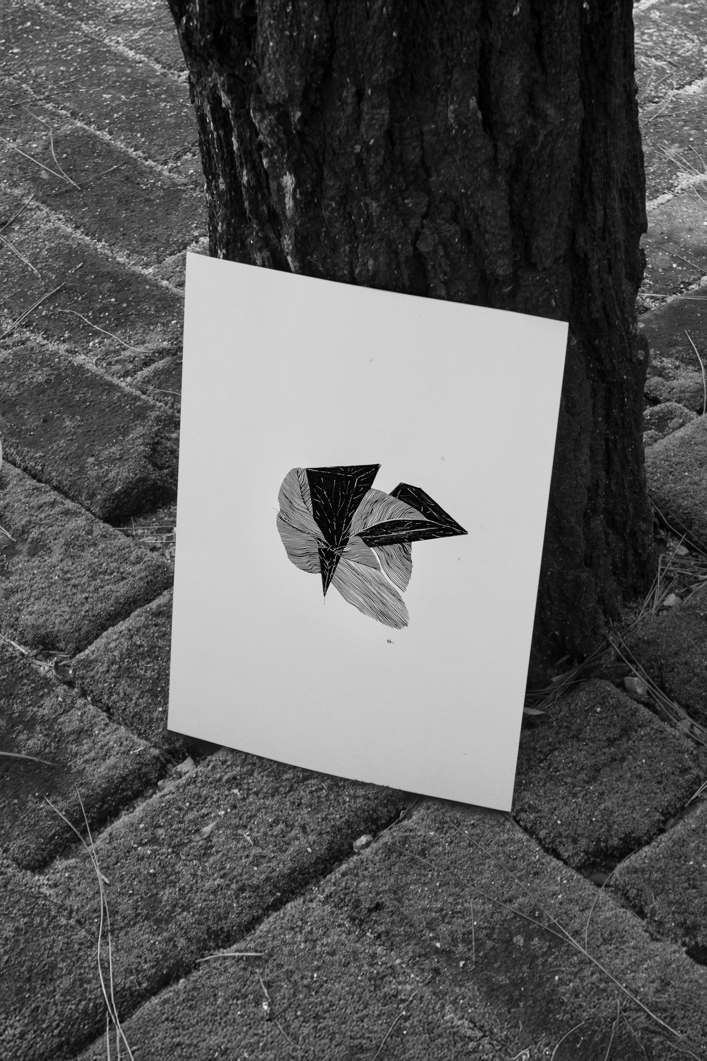 N.71 - black harmony