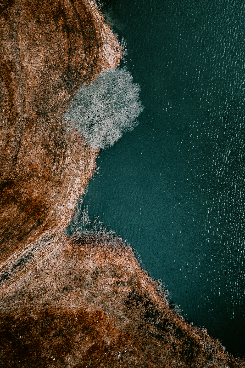 Naturens Gränssnitt